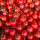 1包樱桃番茄种子