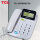 TCL HCD17B电话机 白色