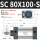 SC80X100S