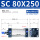 SC80X250