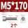 M5*170(2个)
