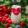 180g 12罐 【树莓味酸奶】