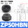 ZP50HBN【1只价格】