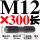 M12*300【中圆双头螺丝】