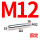 固定M12（19粗110长）