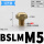 铜BSLM-M5平头M5