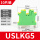USLKG5(10片)