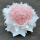 【晚风予星】99朵粉雪山玫瑰花束