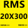 RMS20X300