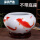 红黑鱼中号＞养水缸荷花缸 陶瓷养睡莲的大缸