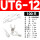 UT6-12(100只)