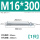 M16*300(1只)