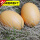 褐色鸡蛋2个(实心木质)