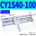 CY1S40-100