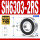 SH6303RS胶封(17*47*14)