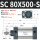 SC80X500S