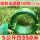 1608-绿色半透明塑钢带-5公斤