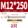 M12*250(304)(2个)