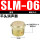 平头铜消声器SLM-6分