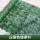 深色   绿萝叶(1米×3米) +扎带