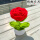 大红玫瑰盆栽