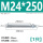 M24*250(1只)