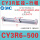 CY3R6-500