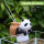 背篓熊猫 + 直头喂食夹