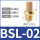 BSL-02