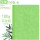竹叶纹A3++浅绿180g-100张