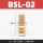 BSL-02(1/4) 长头