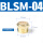 （(50个)BSLM-04）