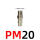 PM20