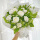 6朵白玫瑰搭配茉莉花束--小清新
