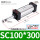 SC100*300