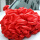 大红花球 30cm