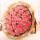 33朵粉色康乃馨花束+黄英