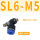 SL6-M5（10件）
