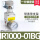 IR1000-01BG(老款) 带指针表和