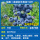 天后-蓝莓大苗40-50cm