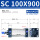 SC100X900