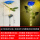 太阳能款-新款发光杆单头-蓝玫瑰