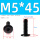 M5*45 (10个)