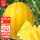 黄皮黄瓤西瓜种子10粒5包(金童)