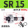 SR15 含安装块 低频
