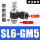 SL6-GM5