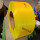 黄色透明13宽0.8厚（10kg）2500