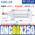 DNC80250PPVA
