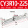 CY3R10225