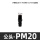 2分公头(PM20) 1个